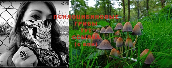 амф Инта