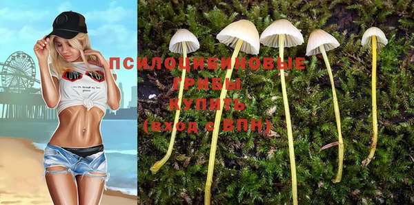 амф Инта