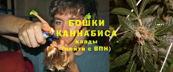 амф Инта